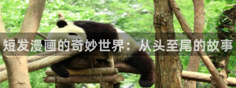 哔咔漫画破解版免费下载