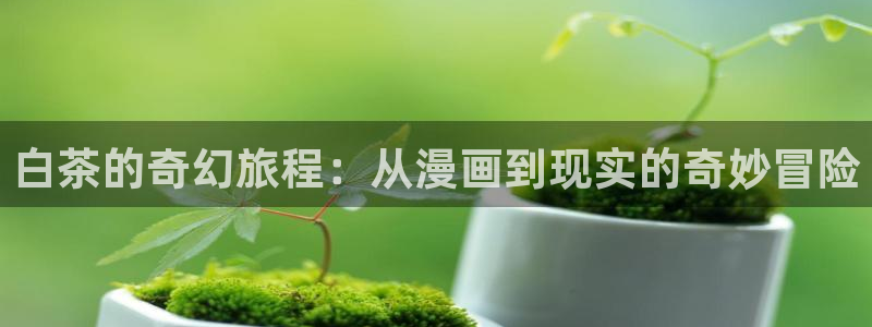 哔咔漫画在线观