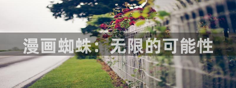 如何下载哔咔漫画安卓：漫画蜘蛛：无限的可能性
