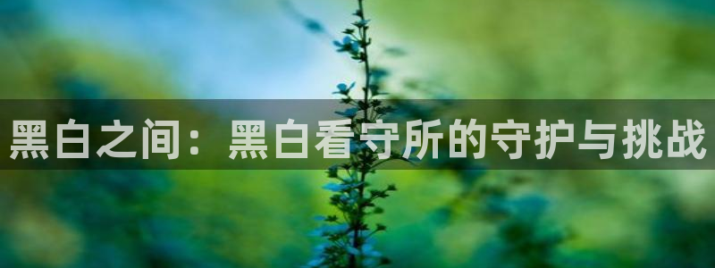 哔咔哔咔漫画最新版下载：黑白之间：黑白看守所的守护与挑战